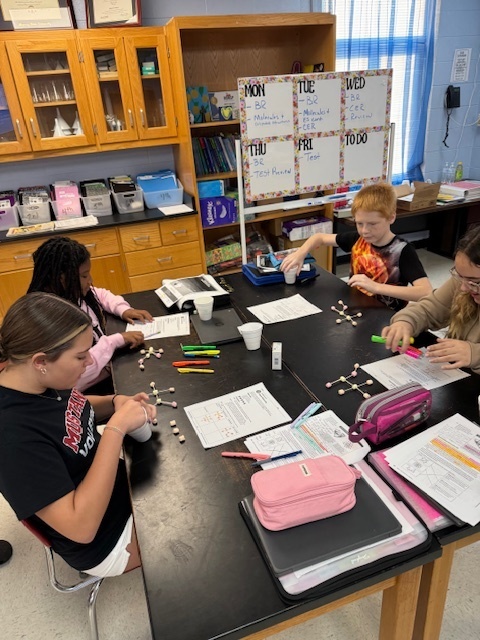 6th Grade Science