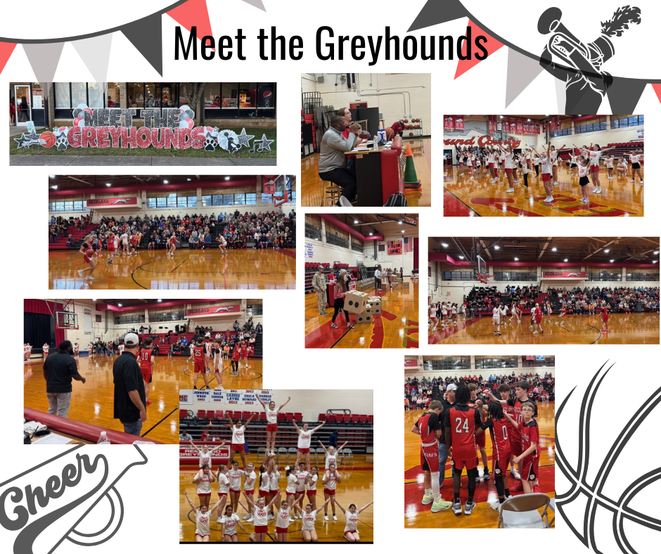 Meet The Greyhounds