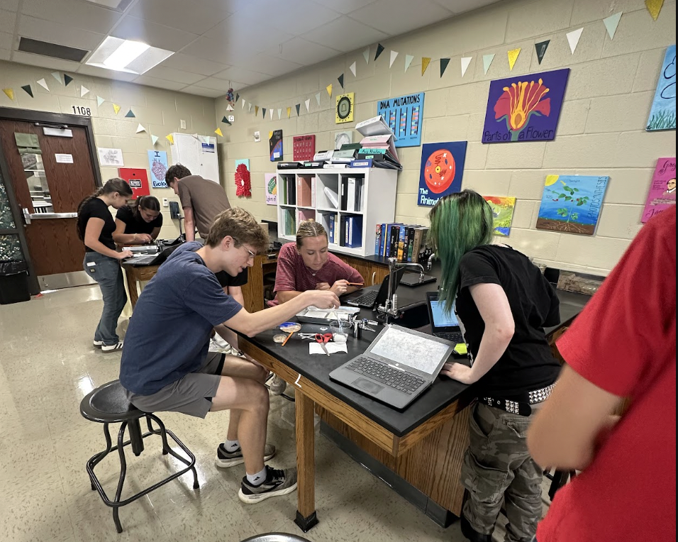 Mrs. Atnip’s AP Biology students took learning beyond the textbook with a hands-on lab using mealworms! Mealworm labs give students the opportunity to explore important biological concepts like animal behavior, responses to environmental stimuli, cellular respiration, and energy dynamics while making observations, collecting data, and thinking like scientists. At MCHS, some of the best learning happens when students can see it, test it, and experience it for themselves!