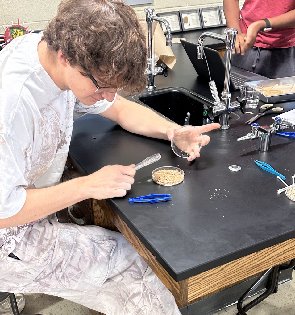 Mrs. Atnip’s AP Biology students took learning beyond the textbook with a hands-on lab using mealworms! Mealworm labs give students the opportunity to explore important biological concepts like animal behavior, responses to environmental stimuli, cellular respiration, and energy dynamics while making observations, collecting data, and thinking like scientists. At MCHS, some of the best learning happens when students can see it, test it, and experience it for themselves!