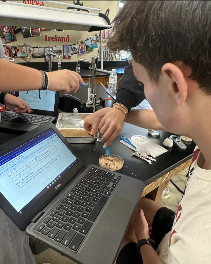Mrs. Atnip’s AP Biology students took learning beyond the textbook with a hands-on lab using mealworms! Mealworm labs give students the opportunity to explore important biological concepts like animal behavior, responses to environmental stimuli, cellular respiration, and energy dynamics while making observations, collecting data, and thinking like scientists. At MCHS, some of the best learning happens when students can see it, test it, and experience it for themselves!