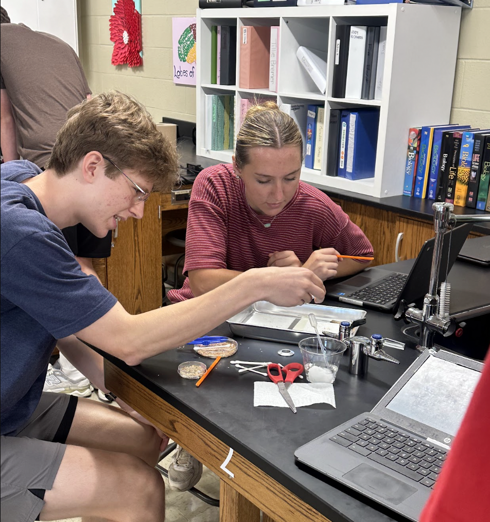 Mrs. Atnip’s AP Biology students took learning beyond the textbook with a hands-on lab using mealworms! Mealworm labs give students the opportunity to explore important biological concepts like animal behavior, responses to environmental stimuli, cellular respiration, and energy dynamics while making observations, collecting data, and thinking like scientists. At MCHS, some of the best learning happens when students can see it, test it, and experience it for themselves!