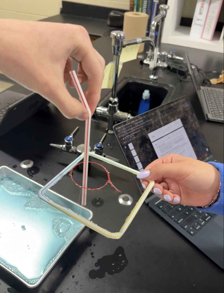 🧬🔬 Exploring the Science of Life! Mrs. Atnip’s AP Biology students took a closer look at the fascinating world of cell membranes! Through hands-on learning, students explored the unique properties of cell membranes and discovered how protein channels help regulate what moves in and out of cells. Bringing biology concepts to life, one cell at a time!