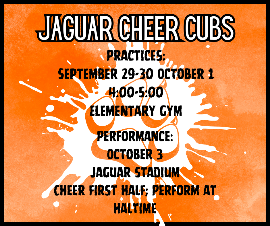 cheer cubs 25