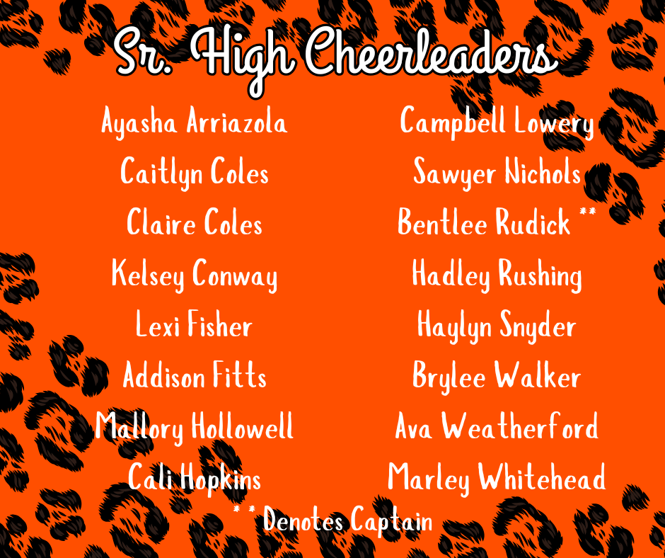 cheer tryouts 26.27