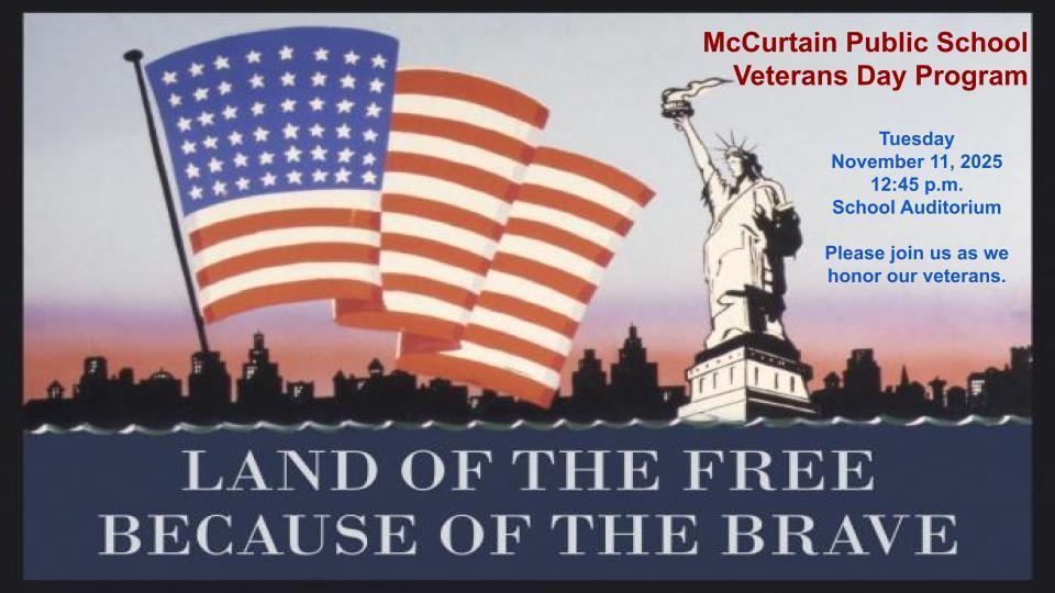 veterans day program