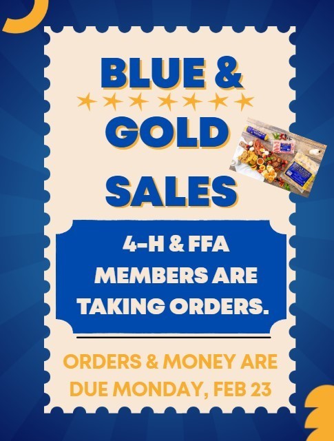 Blue & Gold Sales