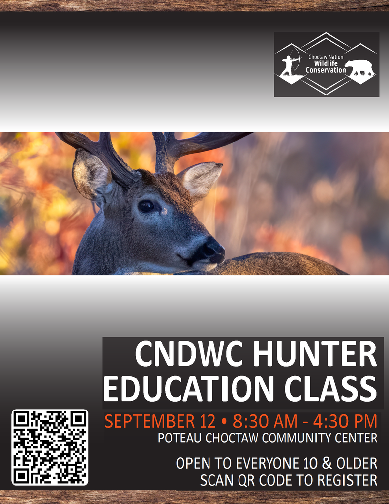 Hunter Ed