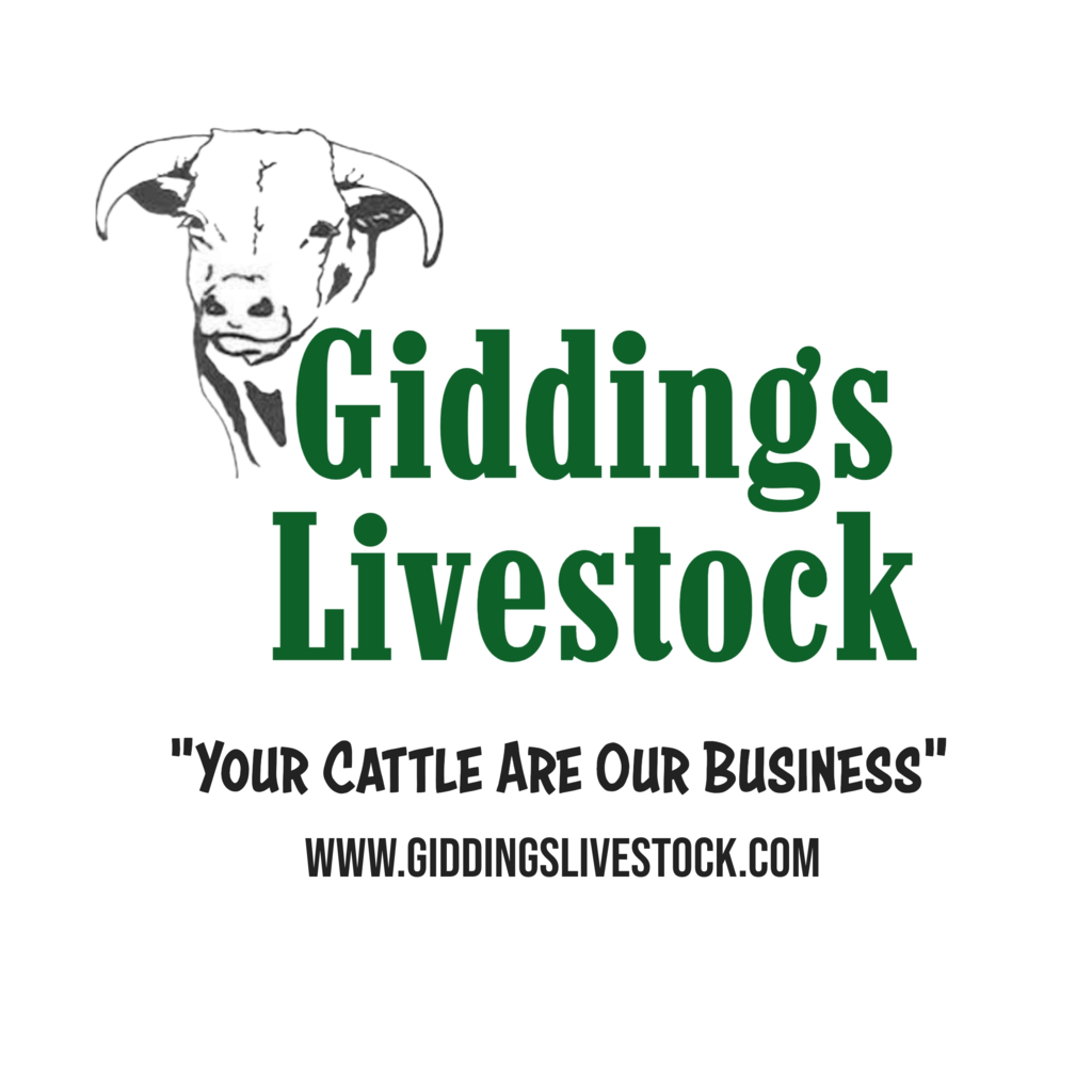 Giddings Livestock