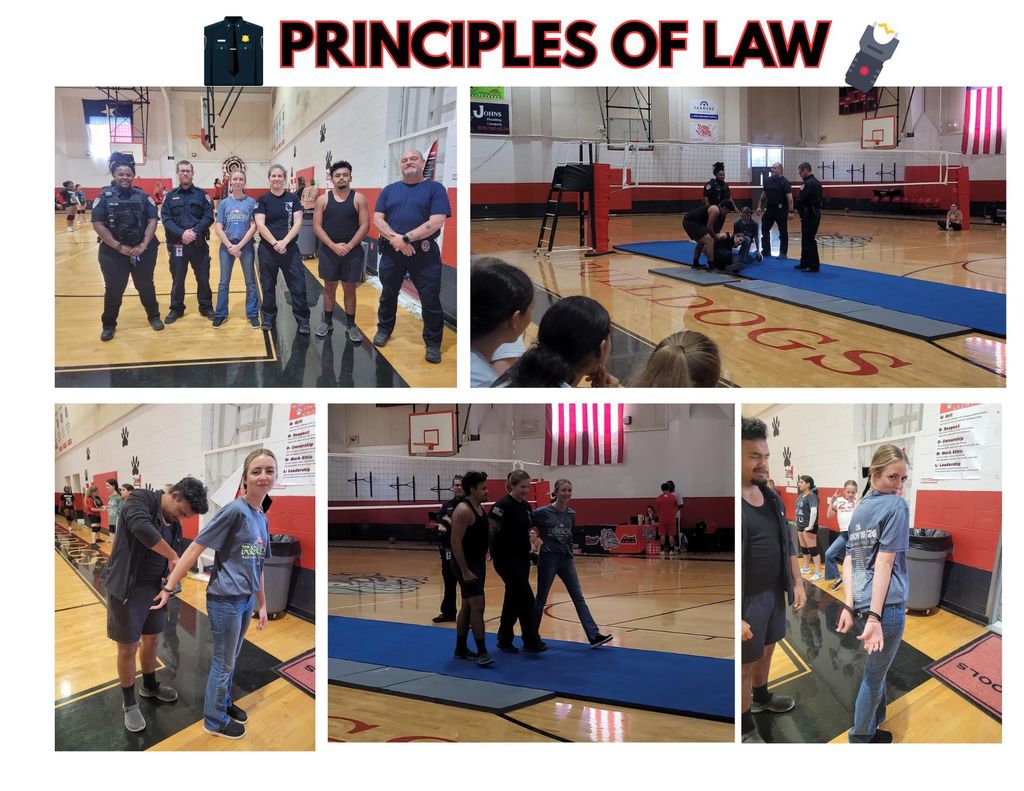 principles of law