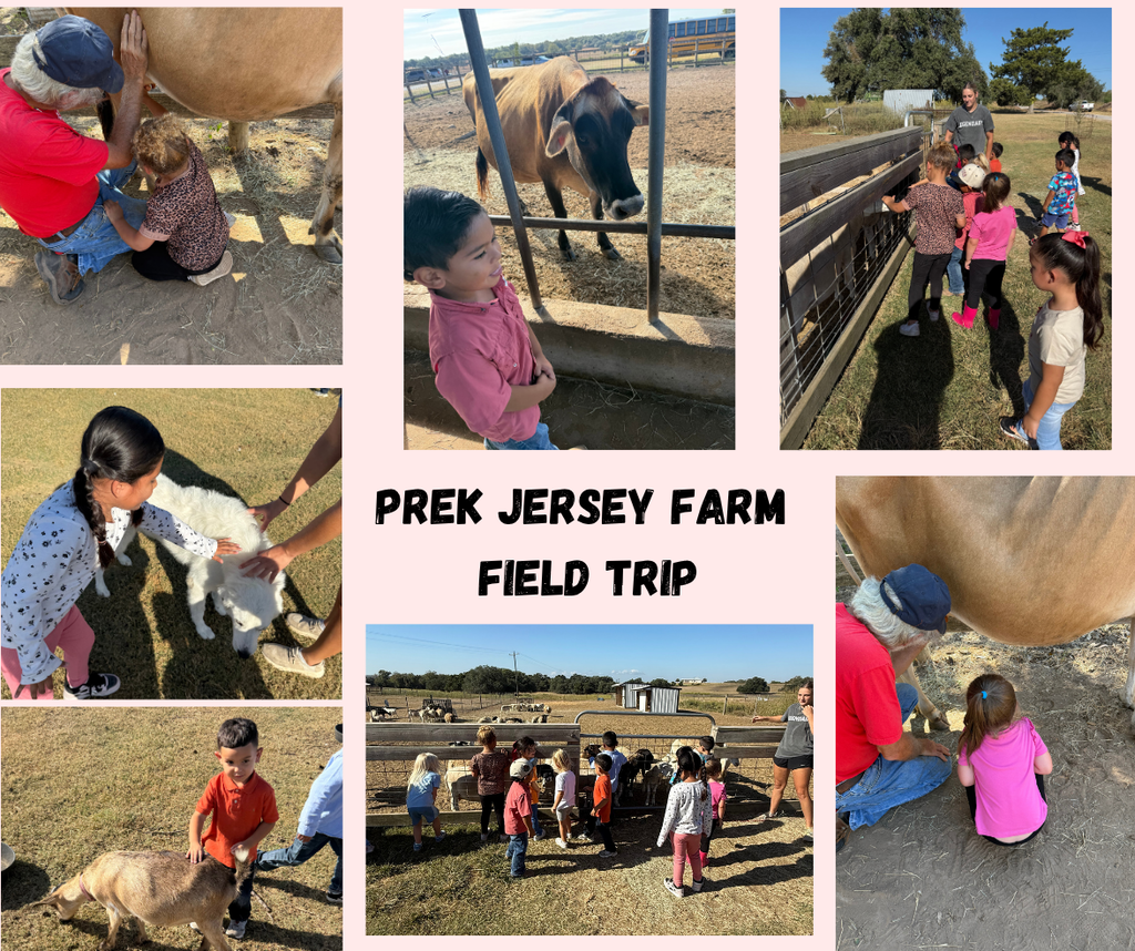 pk field trip