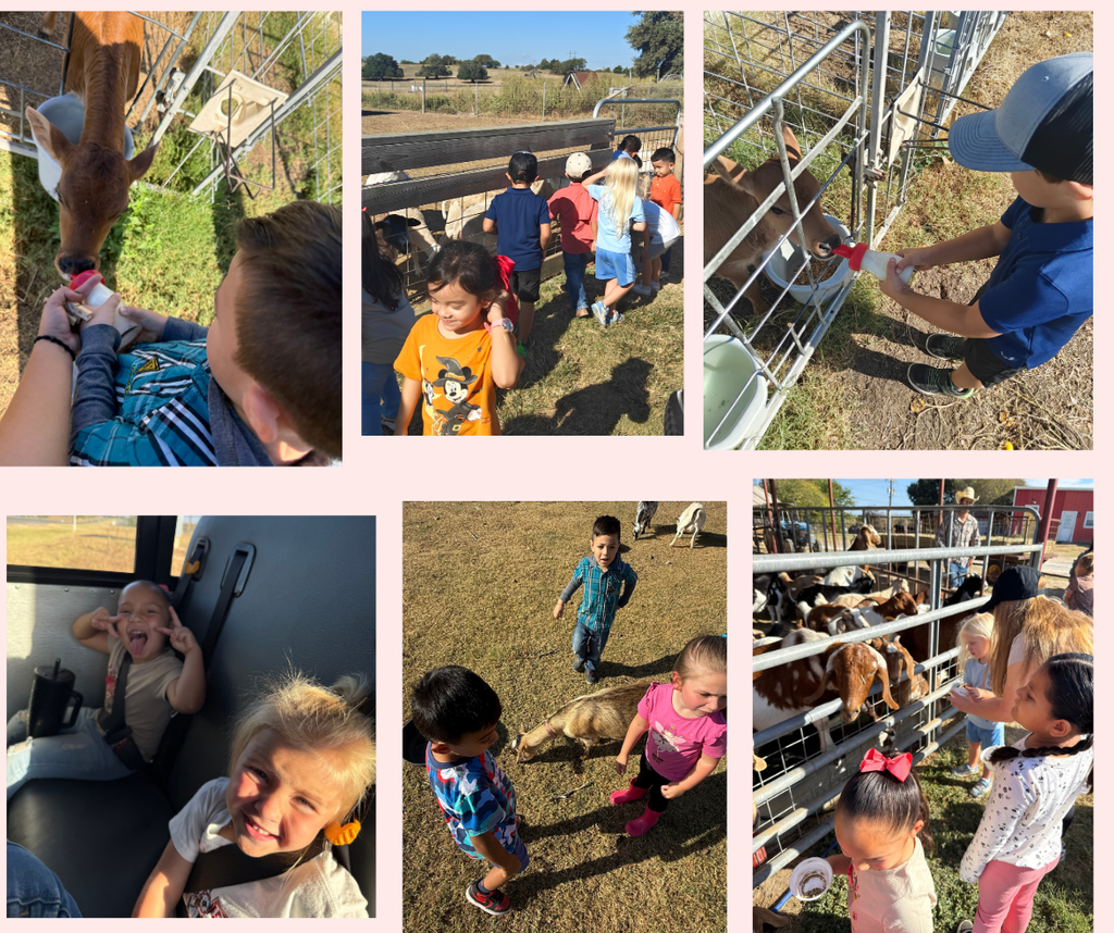 pk field trip