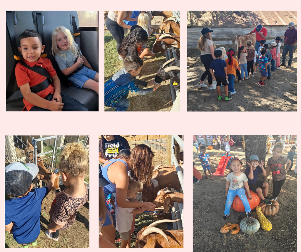 pk field trip