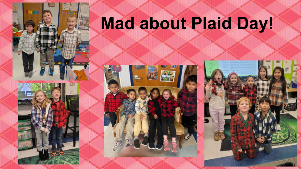mad about plaid