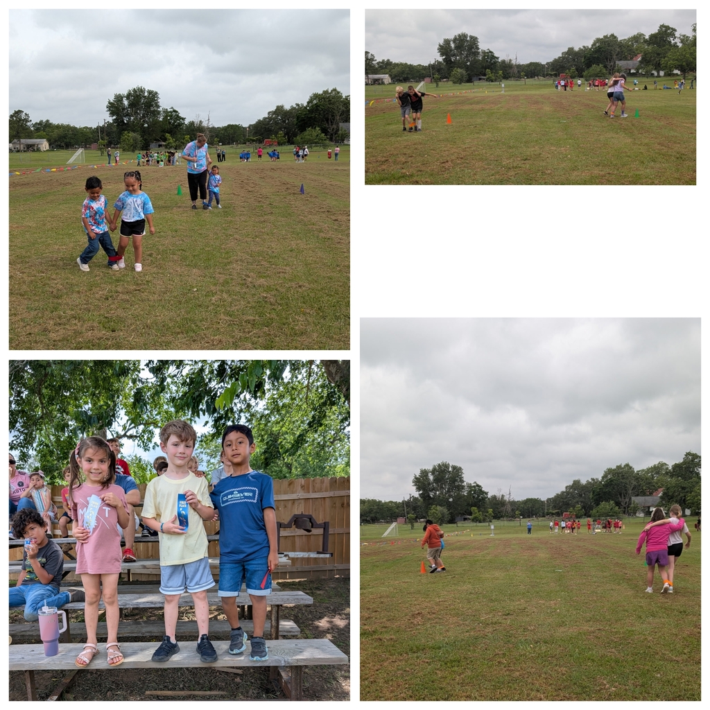 field day