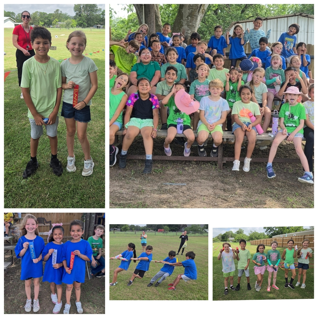 field day