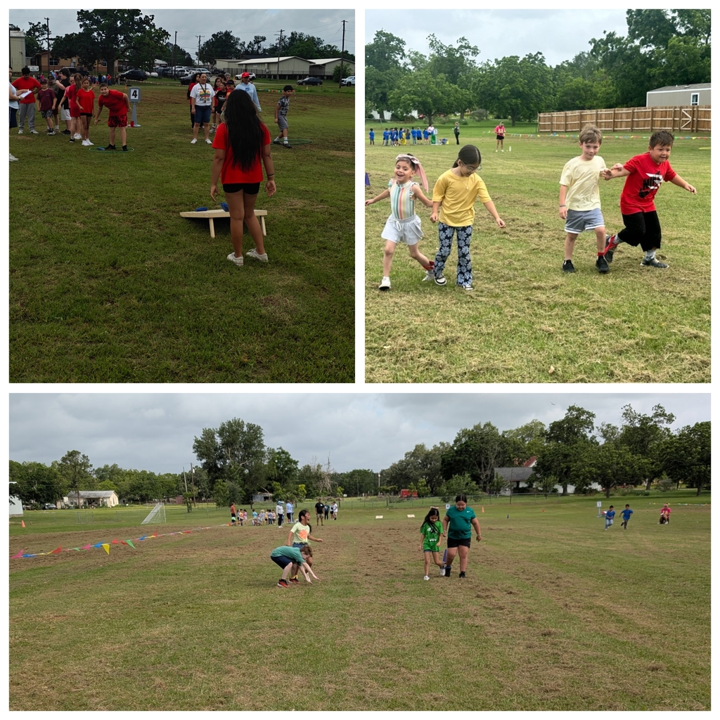 field day