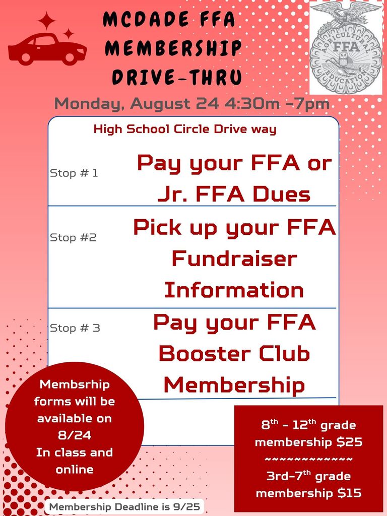 FFa drive