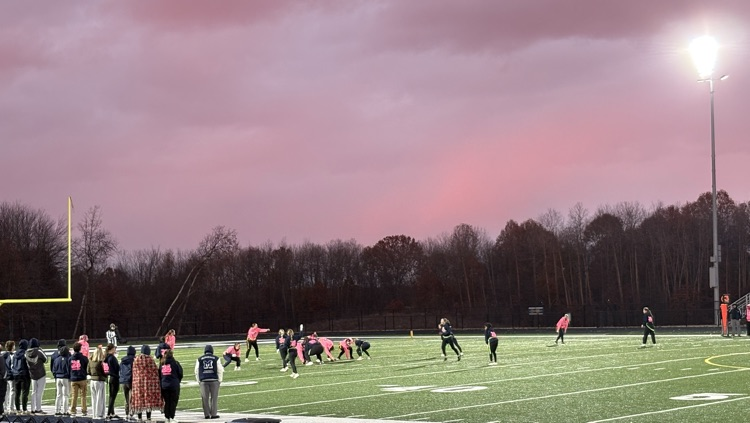 powderpuff
