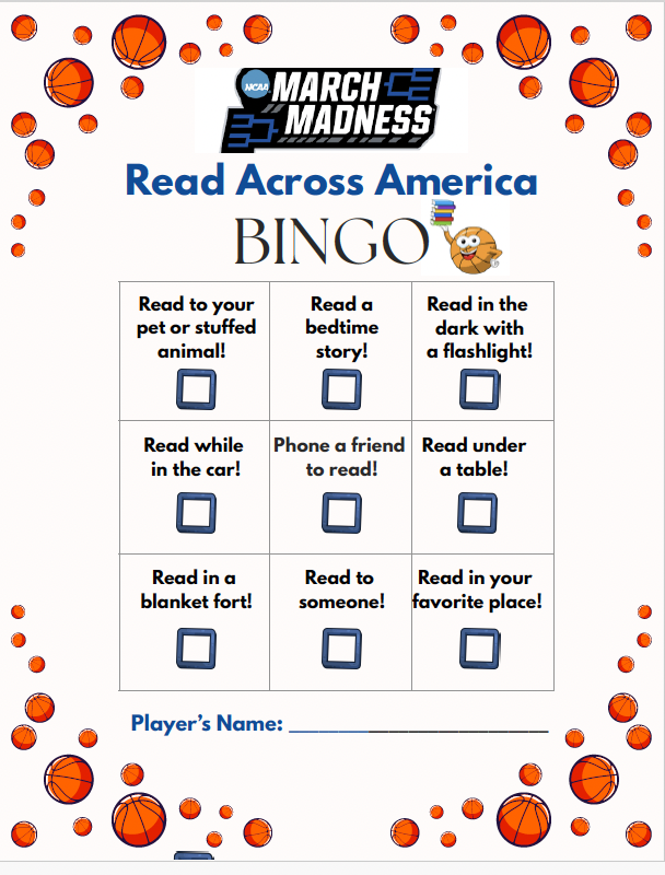 Screen Shot 2026-02-19 at 9