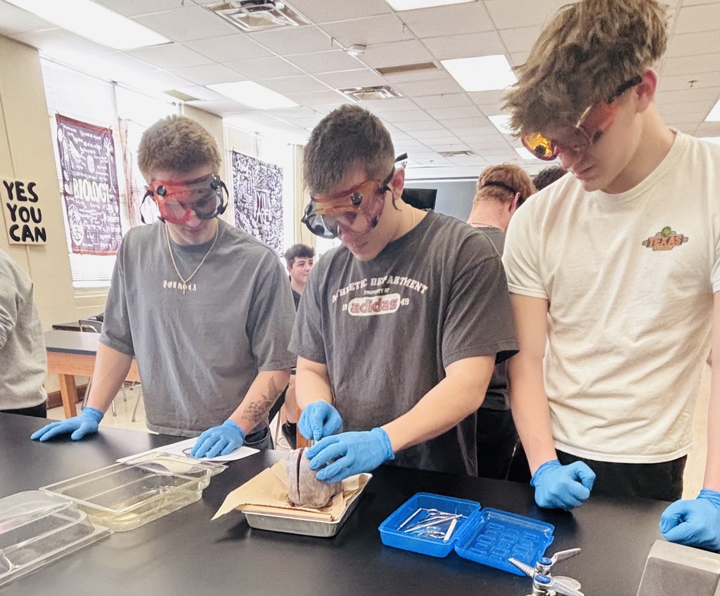 Our Anatomy & Physiology students have been hard at work diving into the cardiovascular system! 🫀  From learning how to measure blood pressure both manually and with electronic monitors, to exploring the structure of the heart through hands-on pig heart dissections, students gained valuable real-world experience. They also investigated the ABO blood group system and practiced blood typing using simulated patient samples.  Putting what they’ve learned into real-world practice!