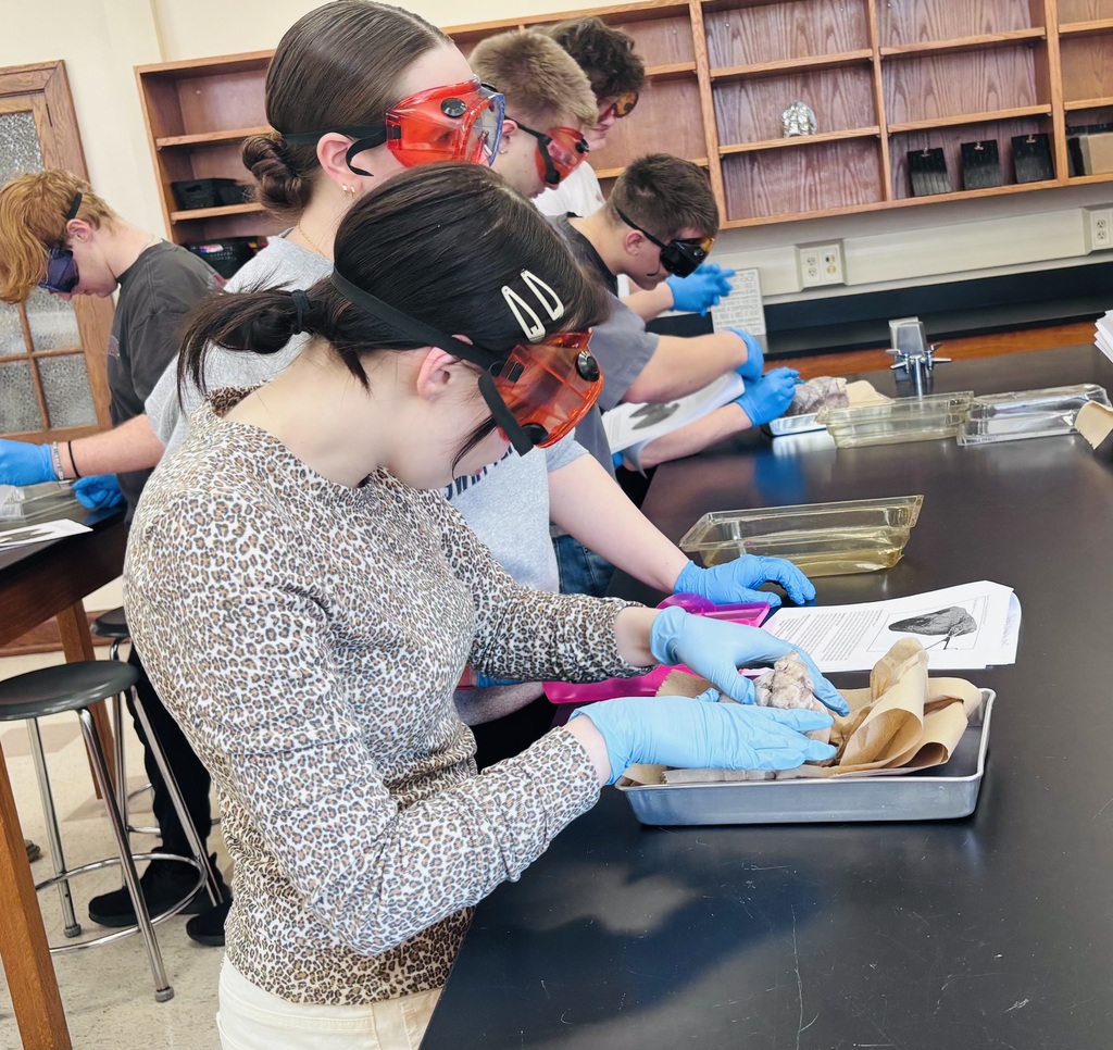 Our Anatomy & Physiology students have been hard at work diving into the cardiovascular system! 🫀  From learning how to measure blood pressure both manually and with electronic monitors, to exploring the structure of the heart through hands-on pig heart dissections, students gained valuable real-world experience. They also investigated the ABO blood group system and practiced blood typing using simulated patient samples.  Putting what they’ve learned into real-world practice!