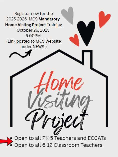 home visiting project flyer