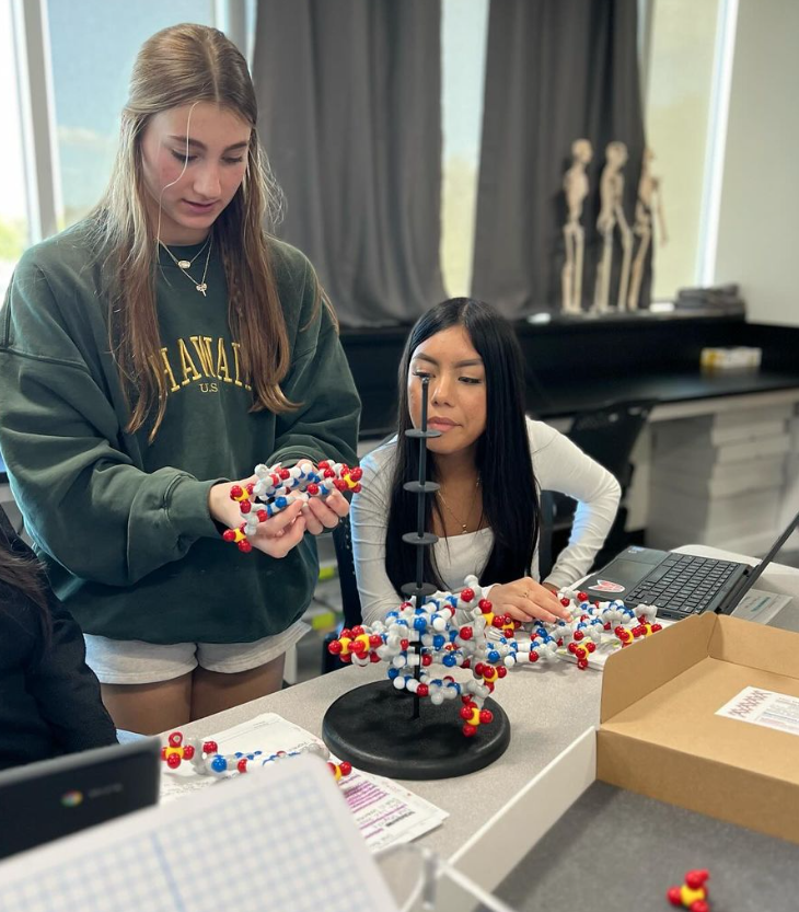 Two students constructing a DNA model
