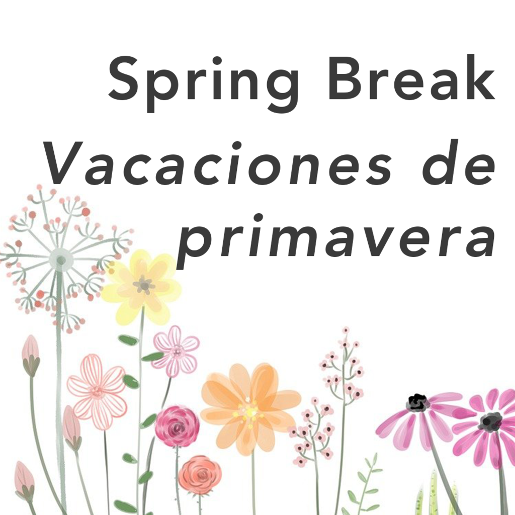 Spring Break Vacaciones de Primavera. Illustrated flowers