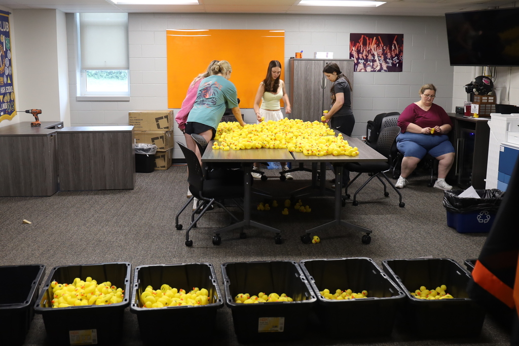 Four students organizing a large amount of rubber ducks, bins of rubber ducks in front of them