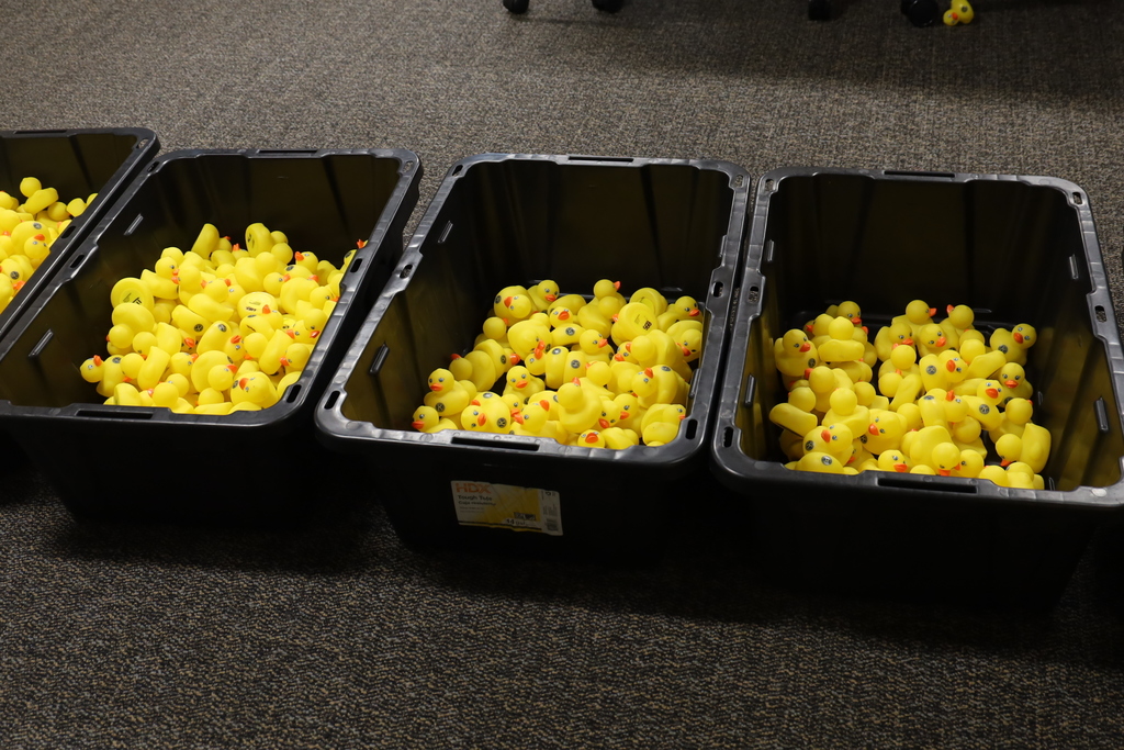 Bins full of rubber ducks