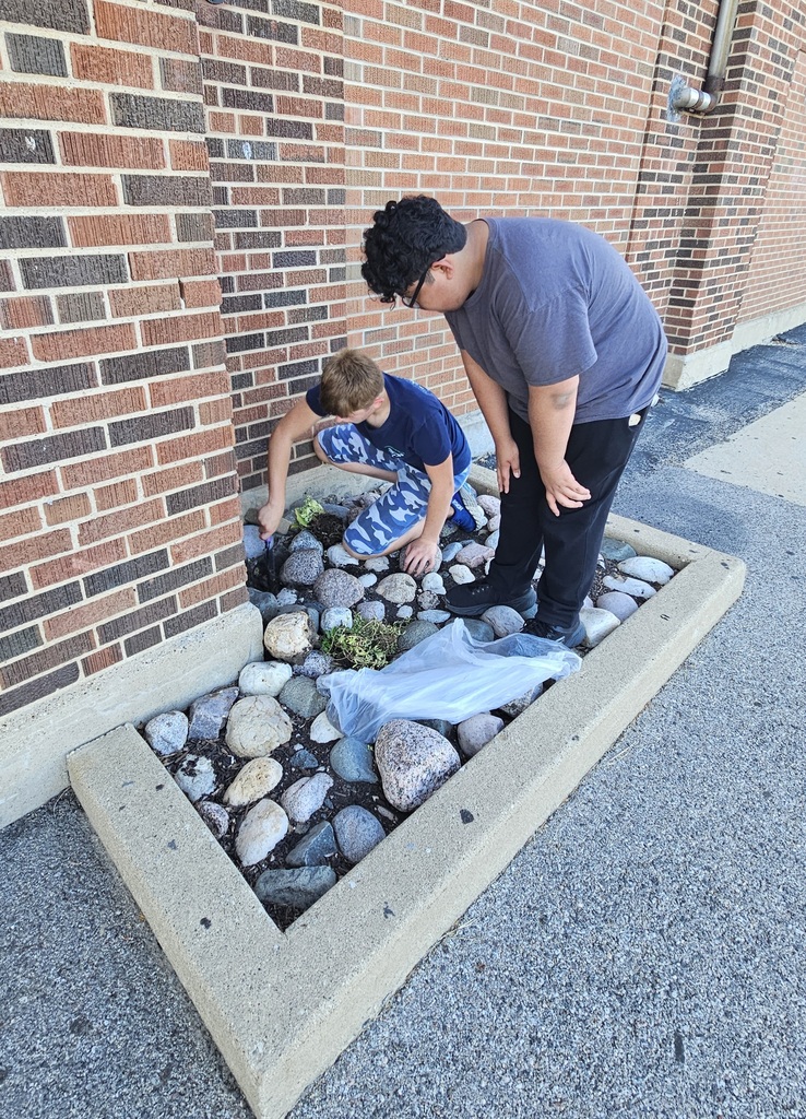Photos of students in the MCHS Garden Club adding perennials to the garden at Freshman Campus