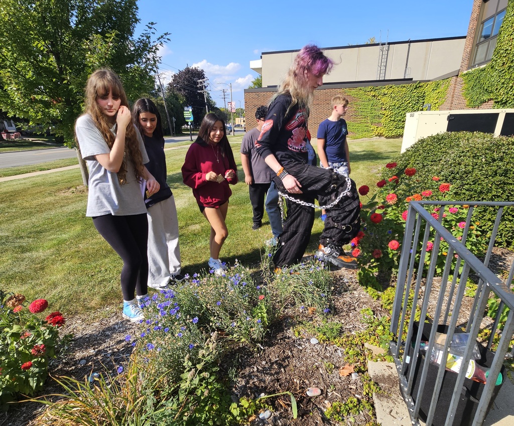Photos of students in the MCHS Garden Club adding perennials to the garden at Freshman Campus