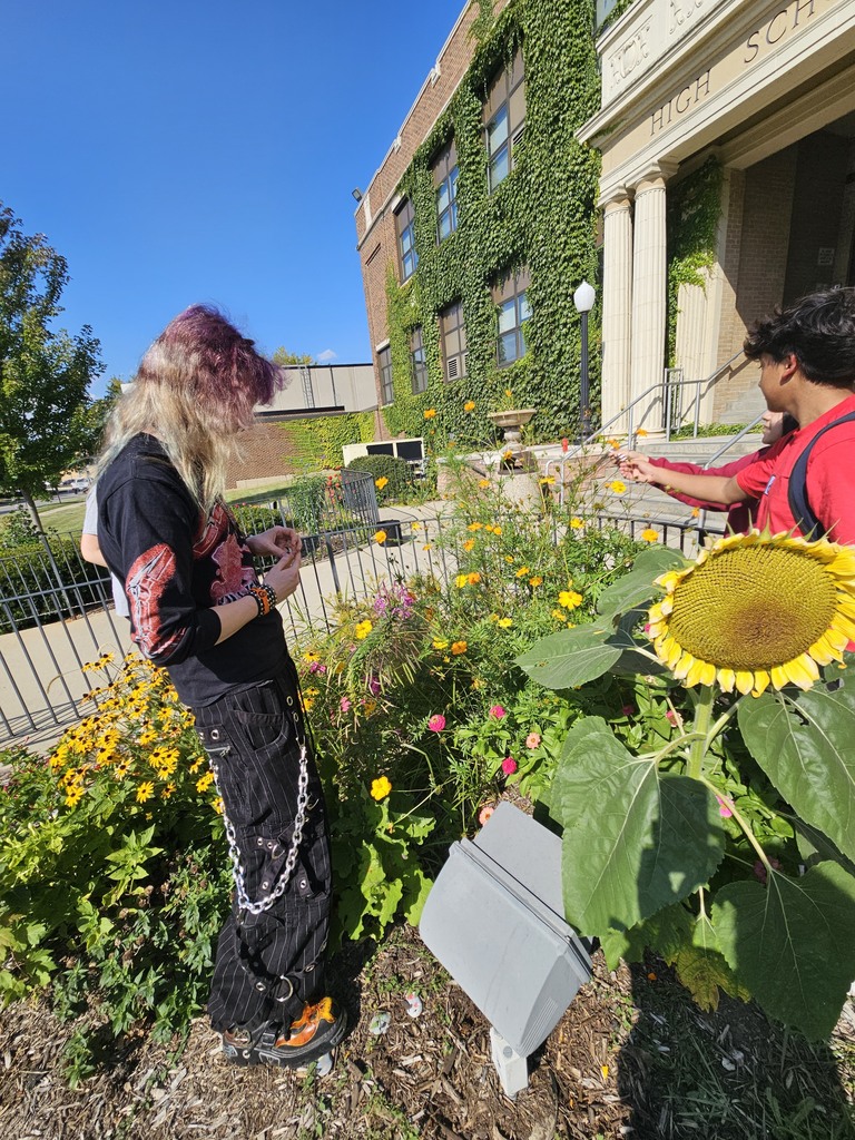 Photos of students in the MCHS Garden Club adding perennials to the garden at Freshman Campus