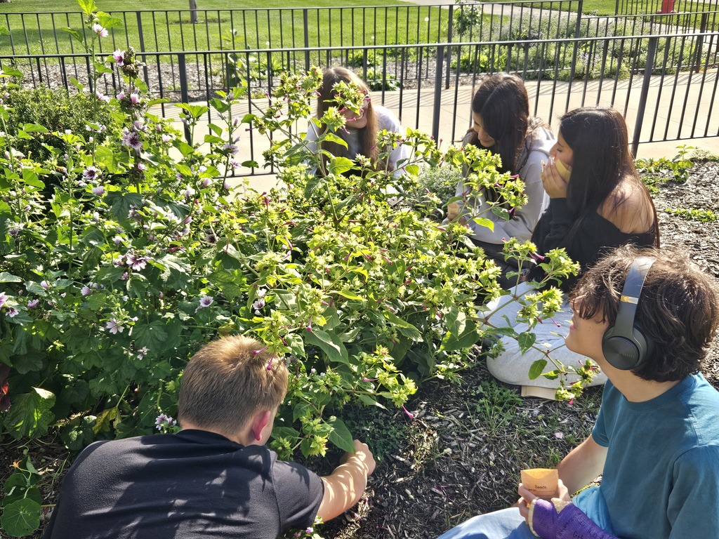 Students working in the garden