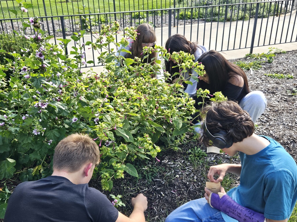 Students working in the garden