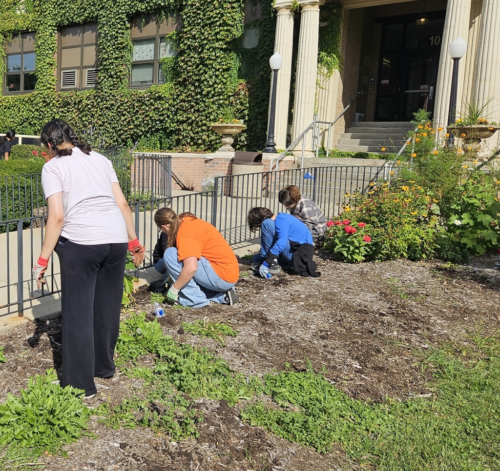 Students gardening 