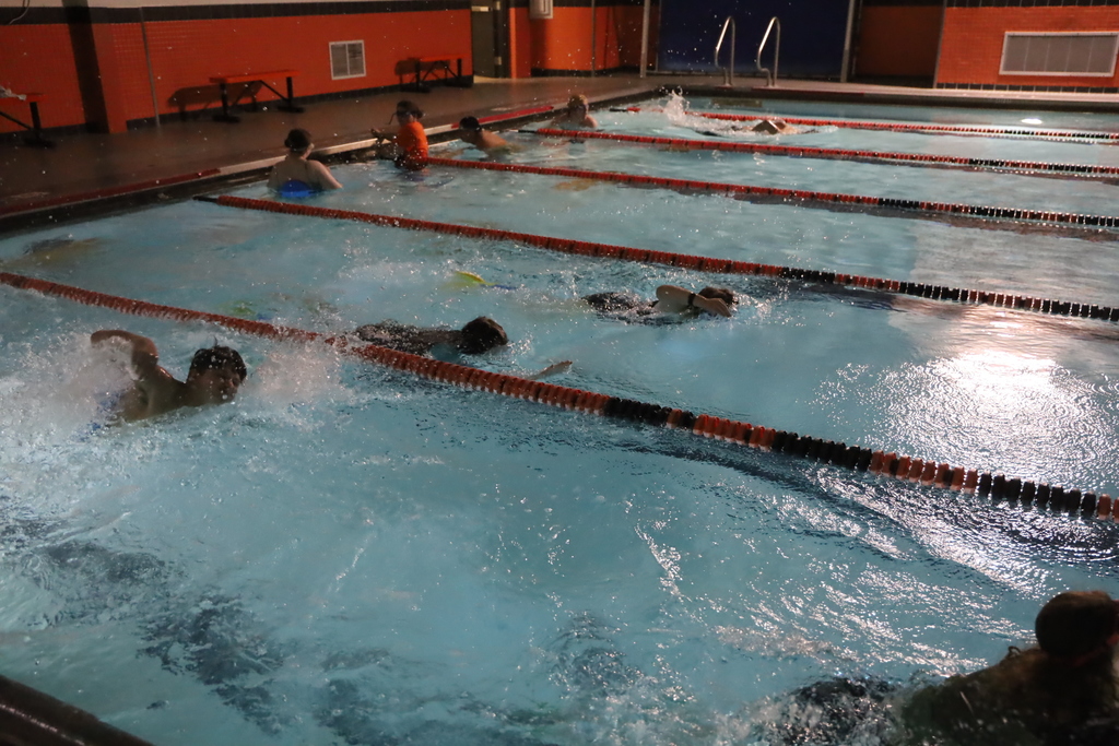 Students in the pool some swimming laps