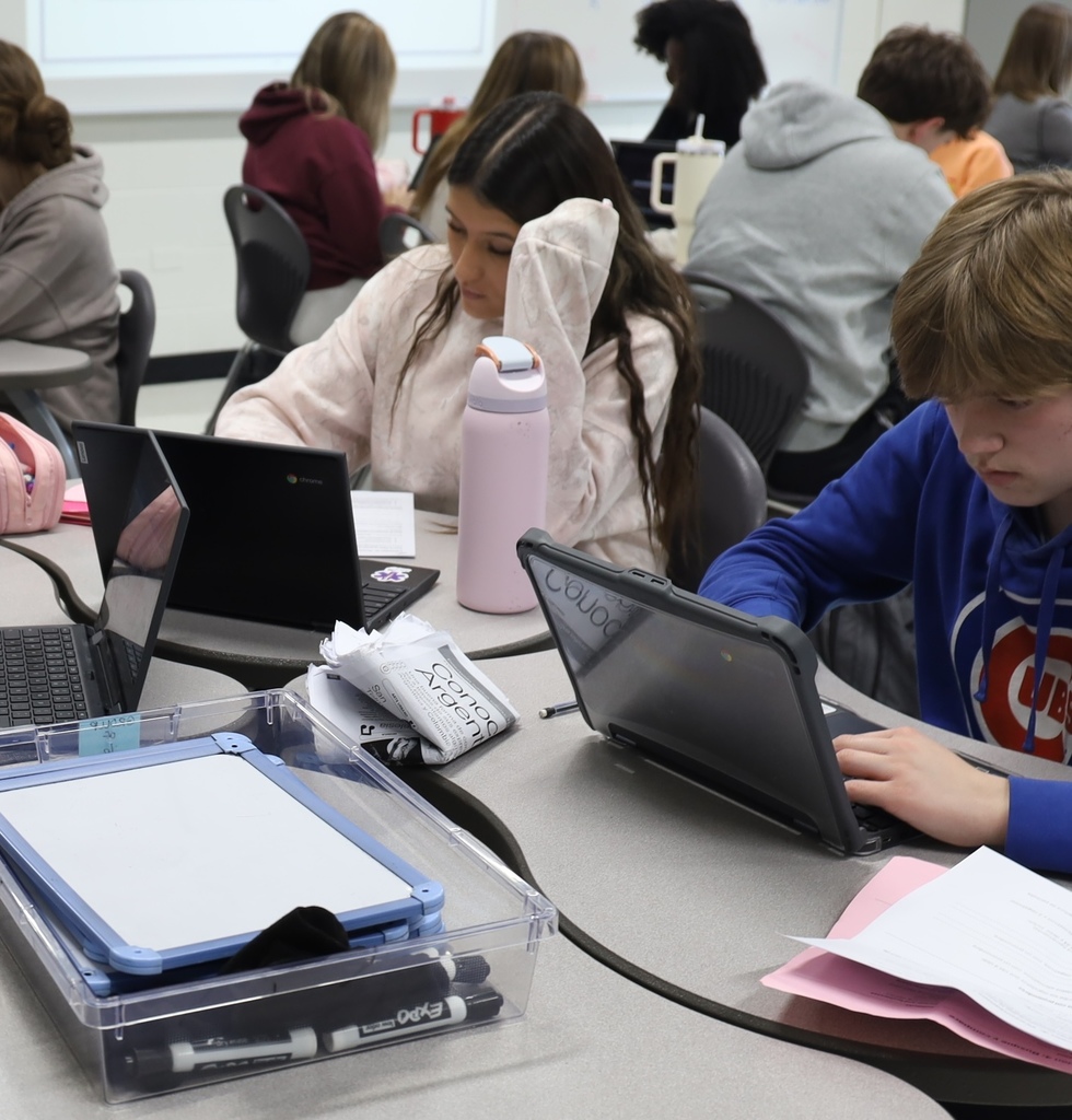 Two students working on their computers