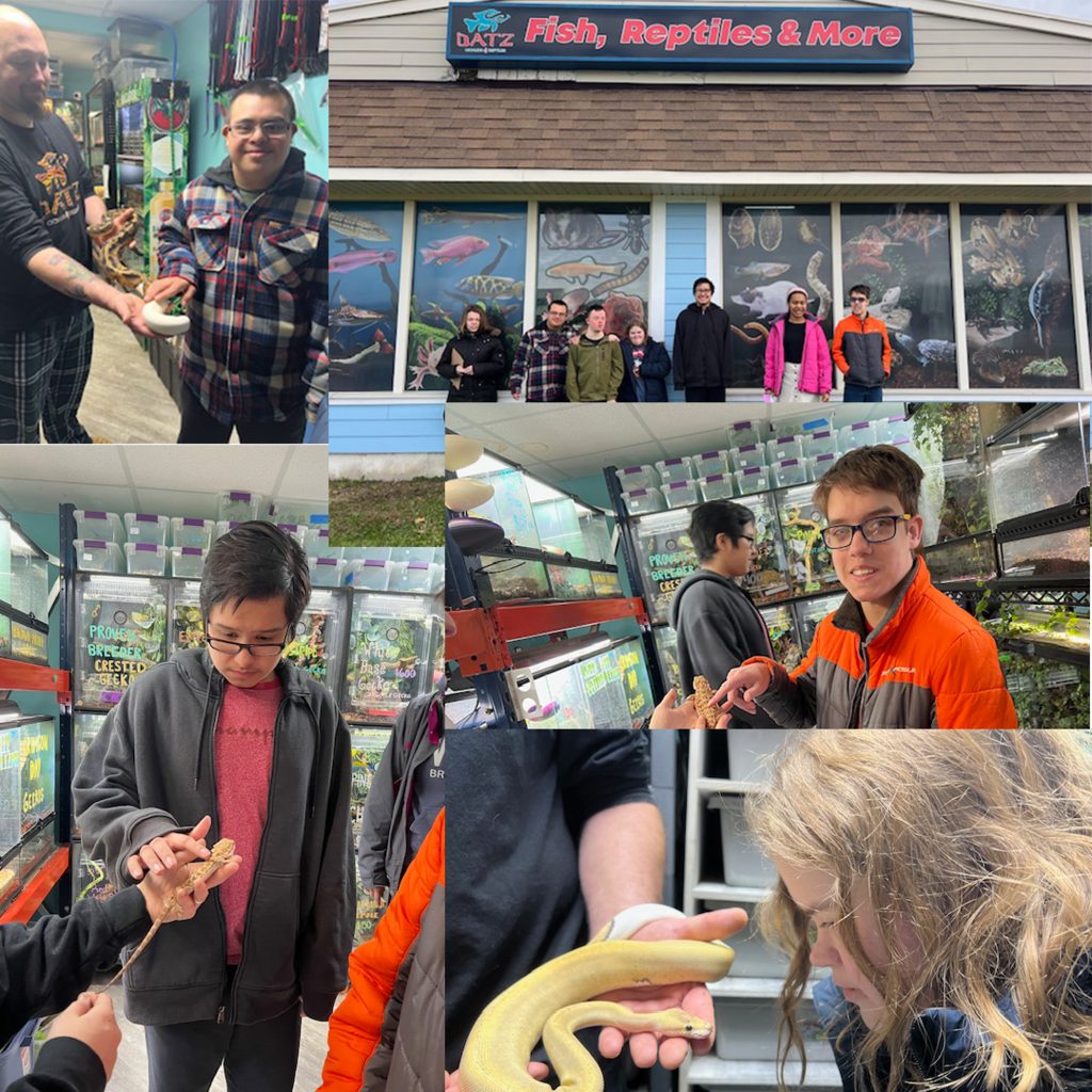 Collage of students at reptile store. Store name Datz Fish Reptiles and More, students standing in front of it. Students petting snakes and lizards. One looking at a snake.