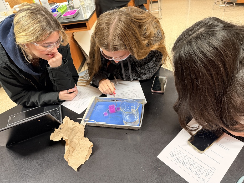 Students with safety glasses around pink looking cubs, one student using a tool 