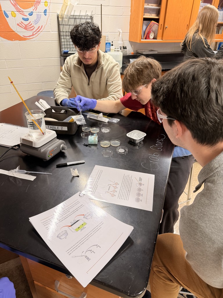 Students putting the samples in the dish
