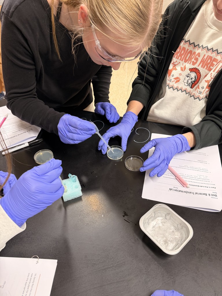 Students putting the samples in the dish