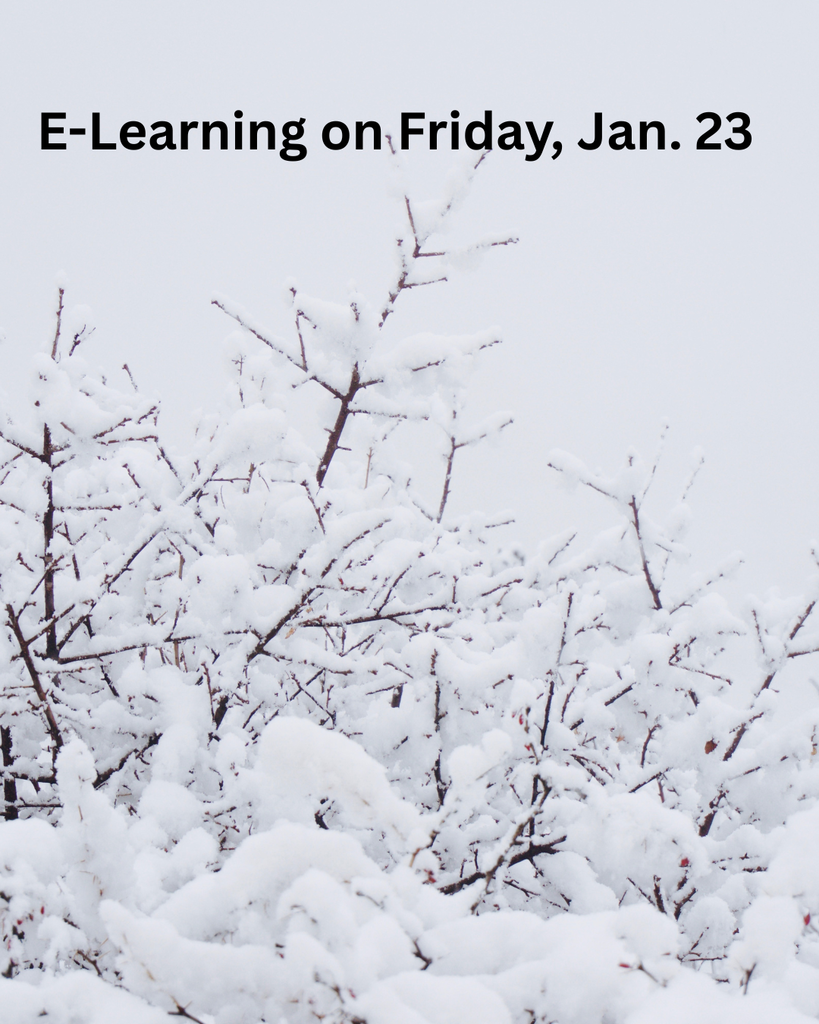 E-LEARNING for MCHS schools on Friday, Jan. 23