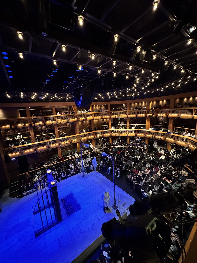 Overhead shot of Shakespeare play and auidence