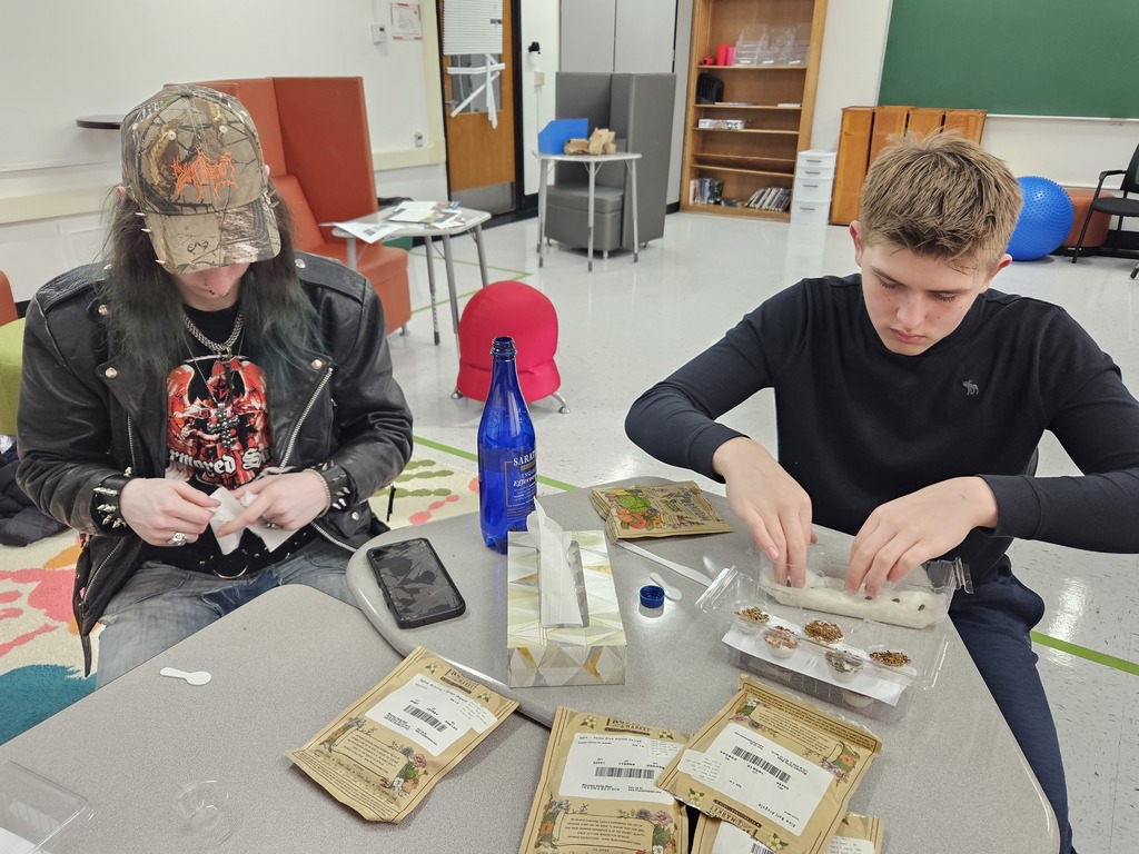 Two students working on the seeds.