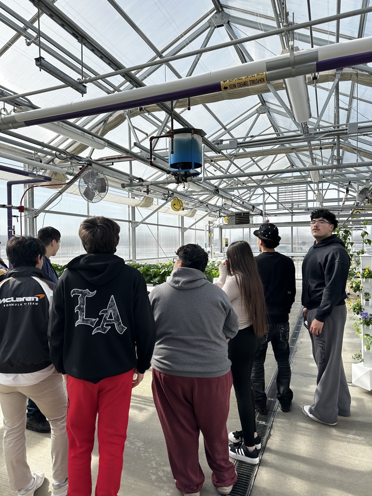 Students looking at a green house