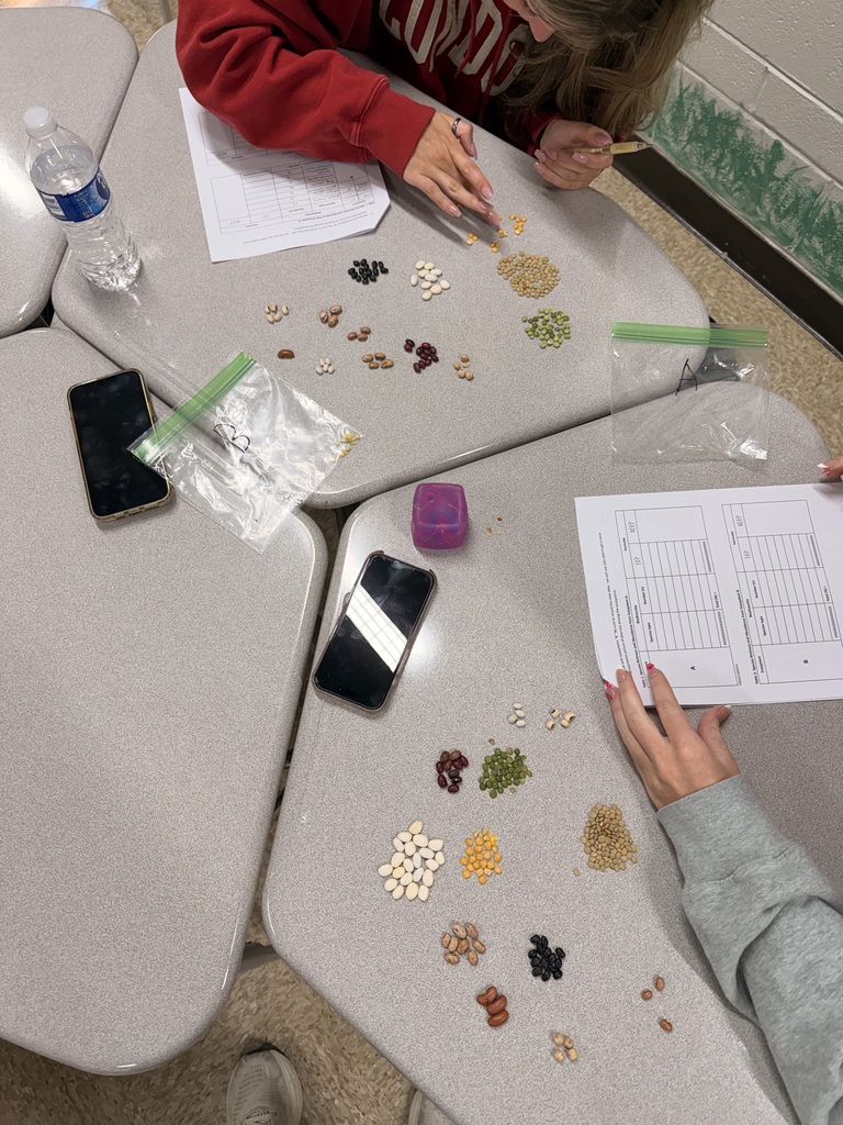 AP Biology students studying biodiversity