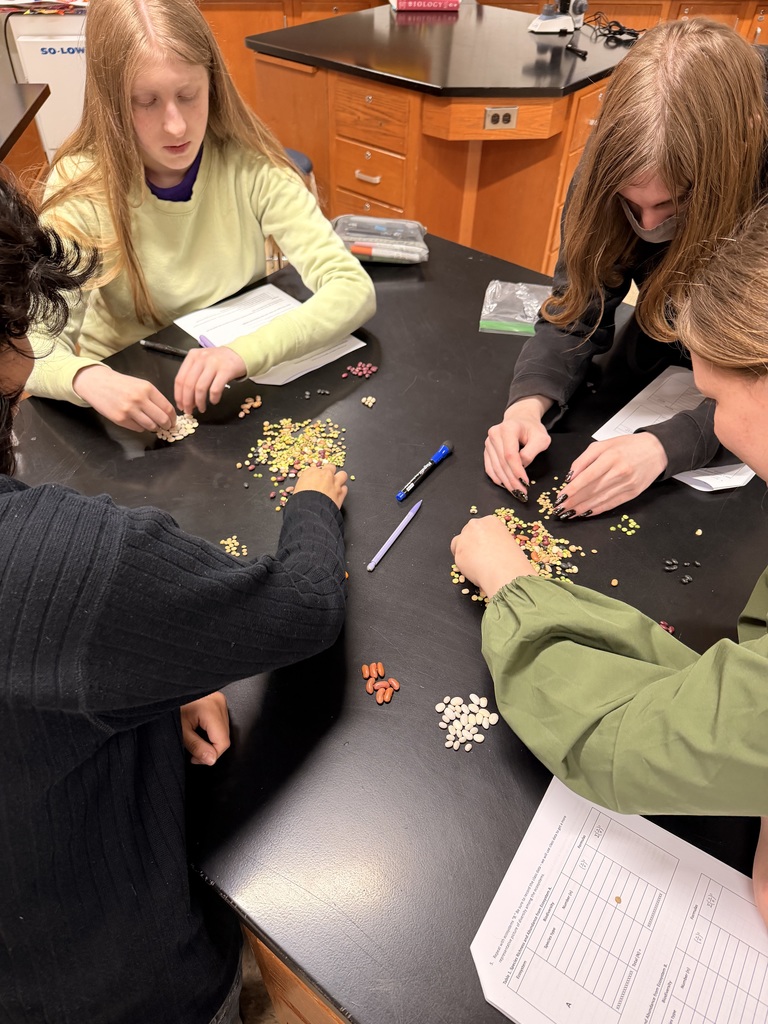 AP Biology students studying biodiversity