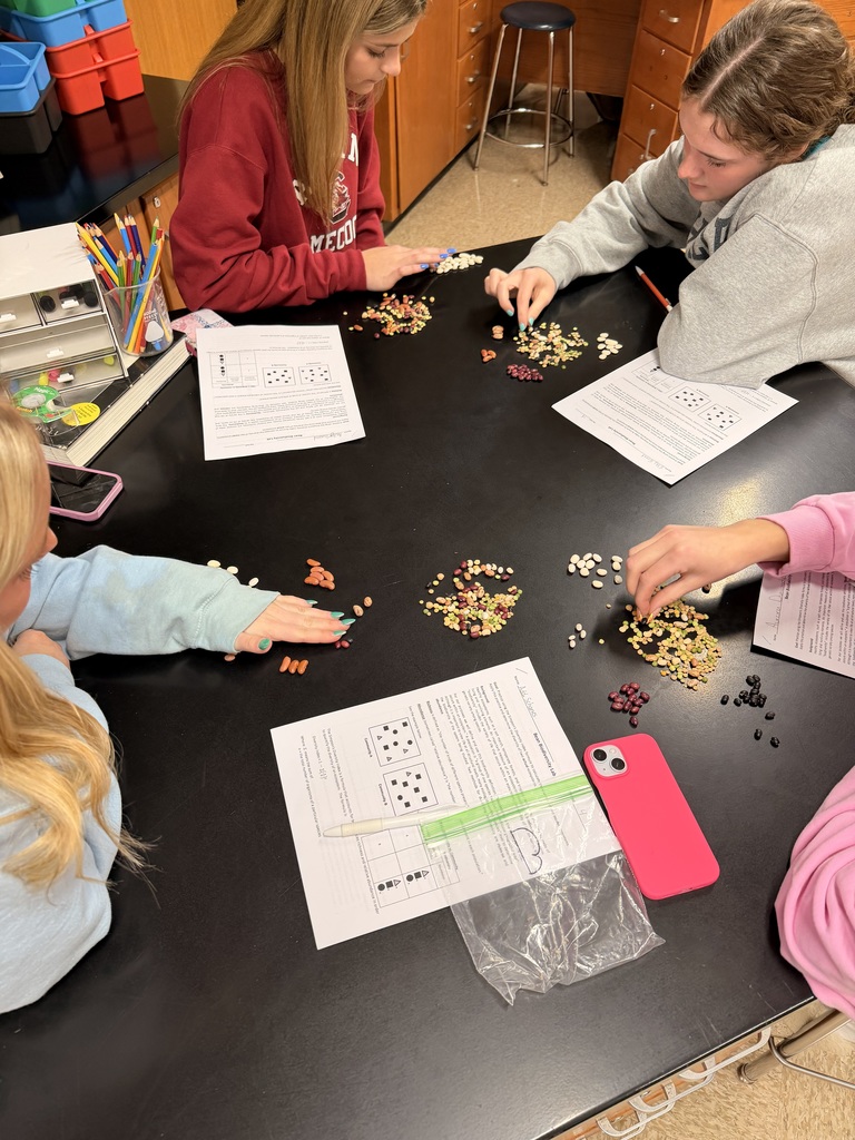 AP Biology students studying biodiversity